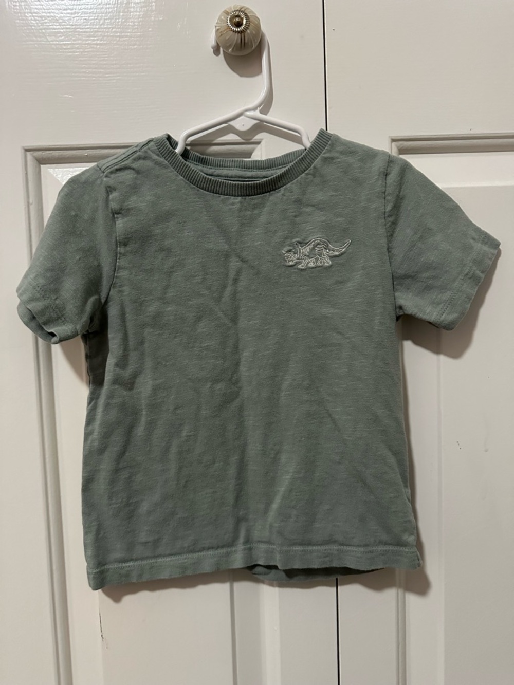 Kids Short Sleeve Tee in Sage Green with Dinosaur Embroidery